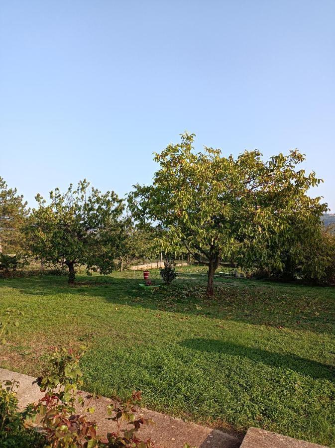 Apartman Biba Labin  Bagian luar foto